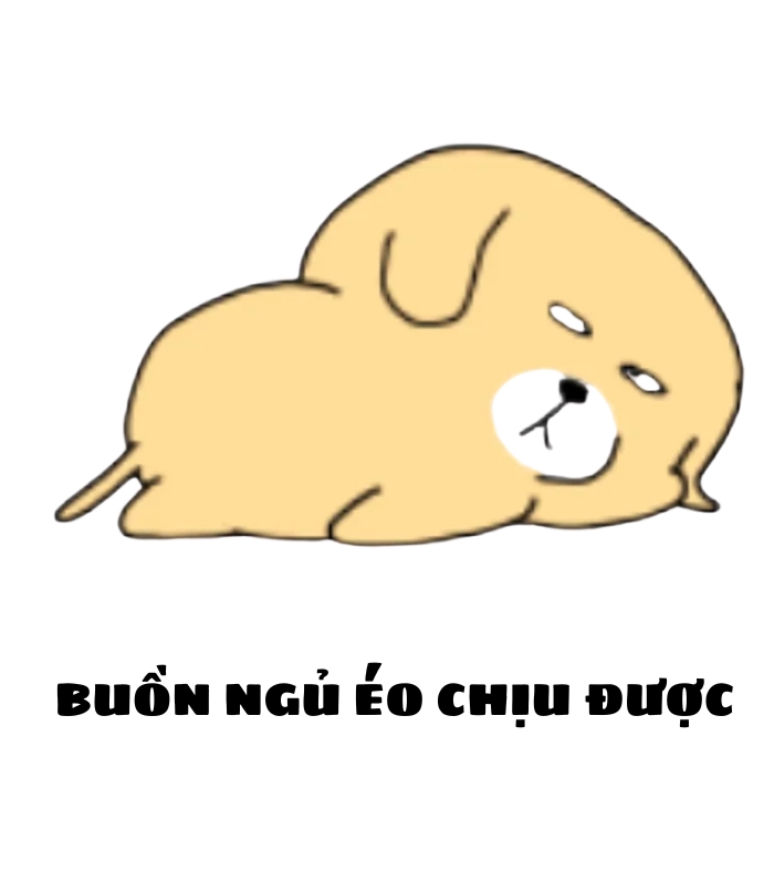 hình meme buồn ngủ đáng yêu