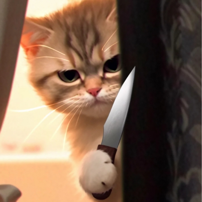 meme cầm dao 18