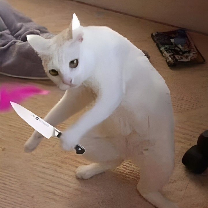 meme cầm dao 23