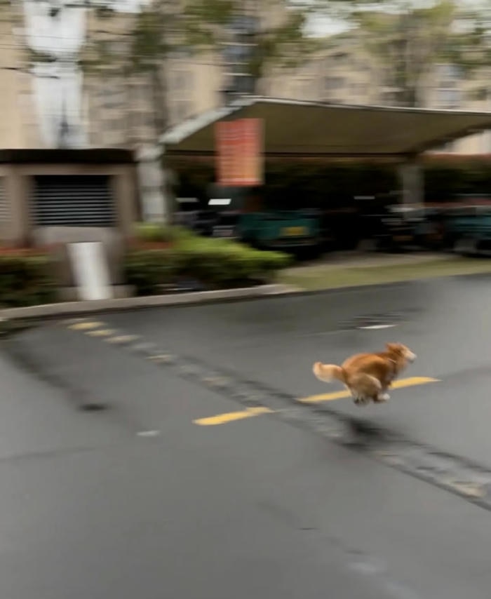 meme chạy ngay đi full biểu cảm