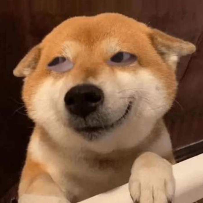 meme chó shiba 20