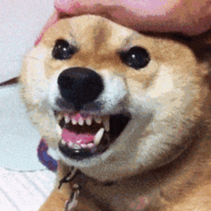 meme chó shiba 26