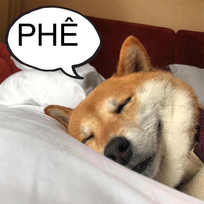 meme chó shiba 30