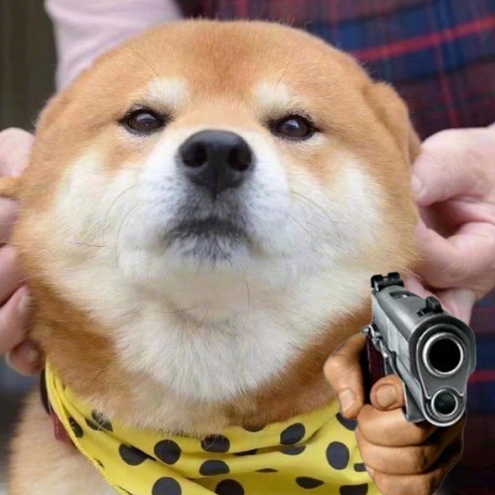 meme chó shiba 4