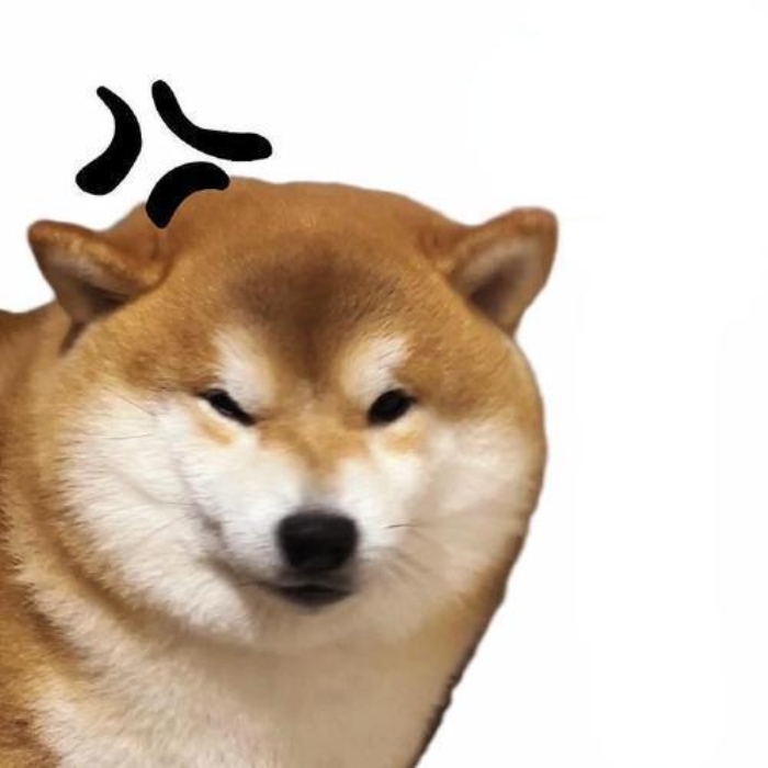 meme chó shiba 5