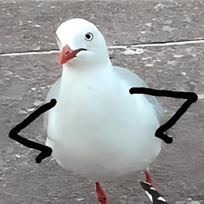meme chống nạnh 23