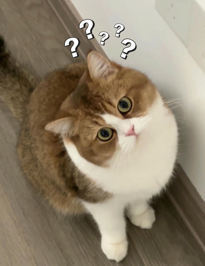 meme dấu hỏi chấm biểu cảm kiểu không tin nổi