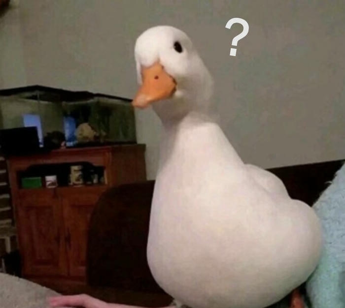 meme dấu hỏi chấm kiểu tôi là ai tôi đang ở đâu