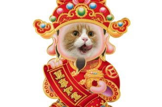 100+ ảnh meme Tết cười bể bụng, nhìn thôi đã thấy Tết về