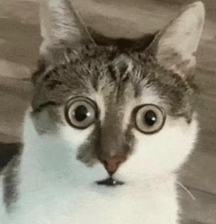 ảnh meme ngạc nhiên