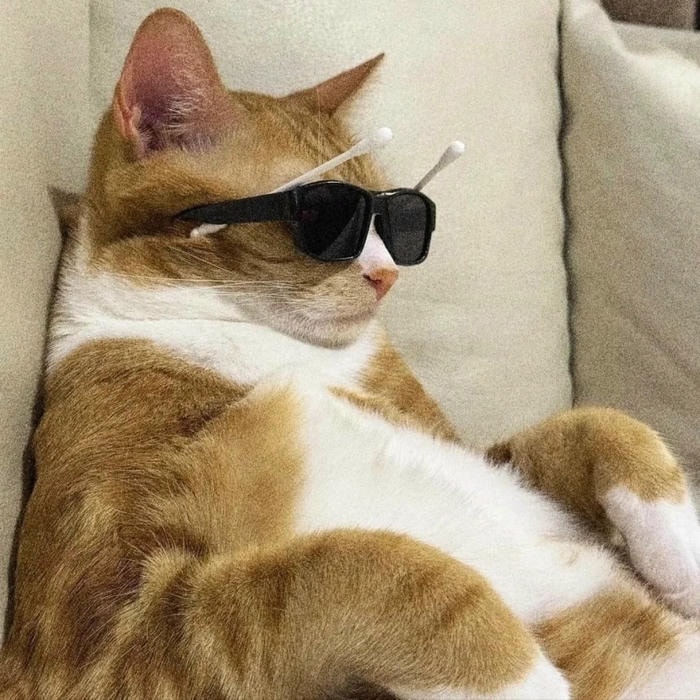 ảnh meme ngầu nhất