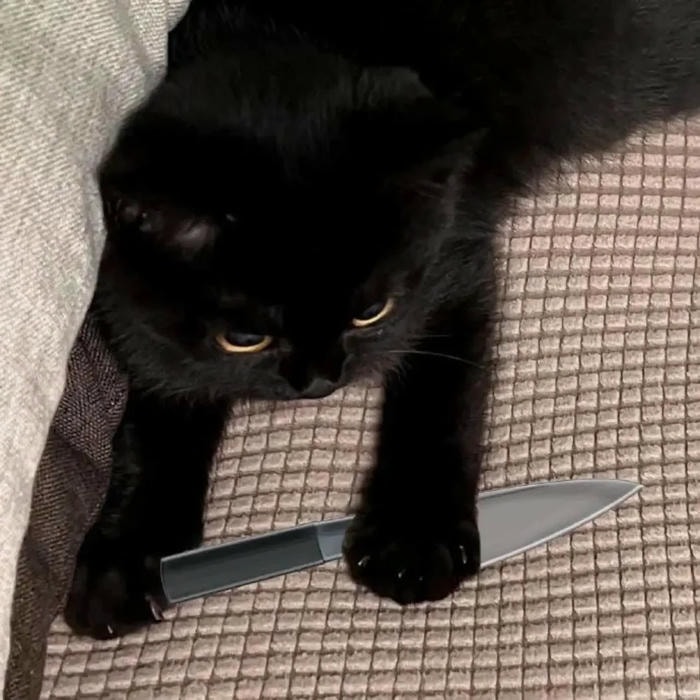 ảnh meme ngầu vui