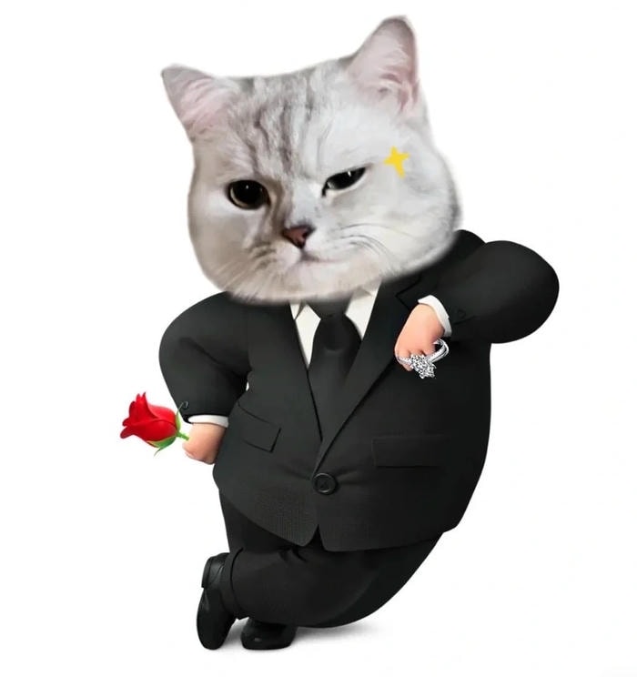 ảnh meme xin chào