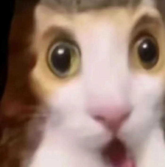 meme bất ngờ TikTok