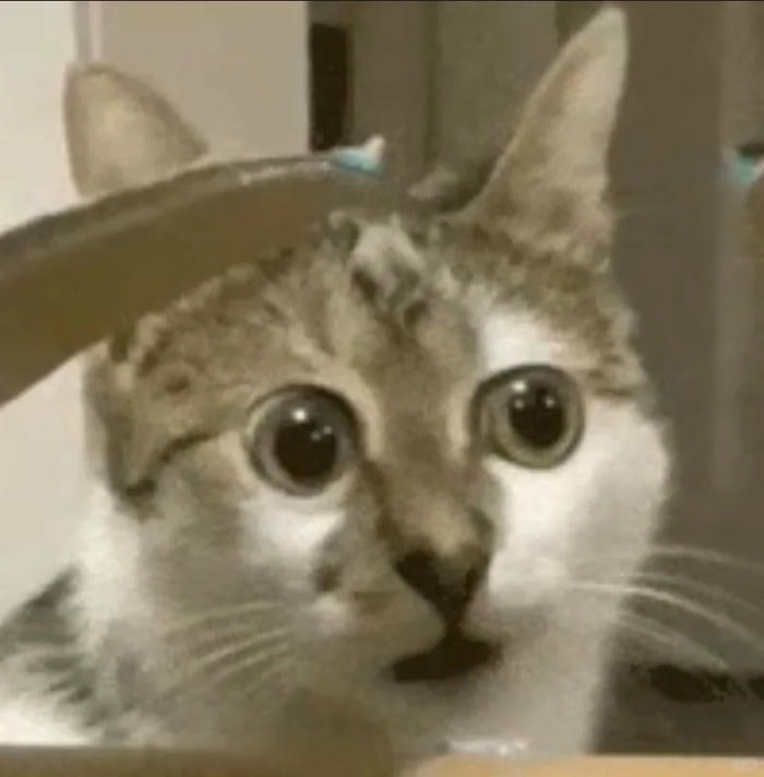 meme bất ngờ chế