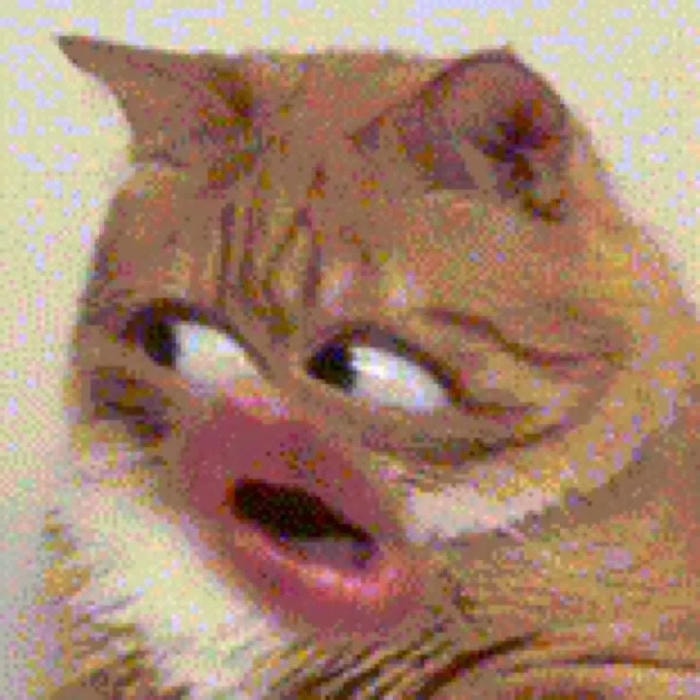 meme bất ngờ nổi bật