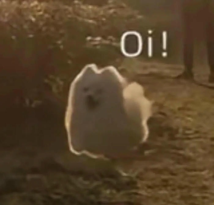 meme chào mọi người