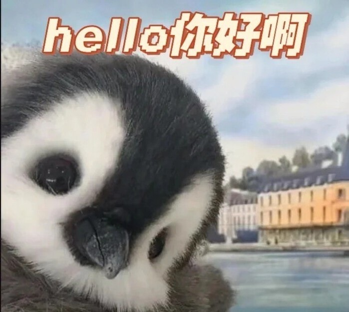 meme chào nhẹ nhàng