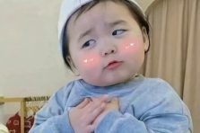 80+ ảnh meme đáng yêu dễ thương, nhìn là muốn share liền