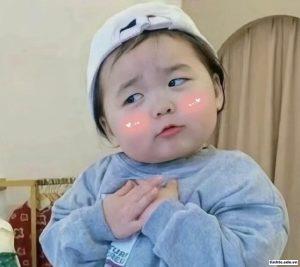 meme đáng yêu troll nhẹ