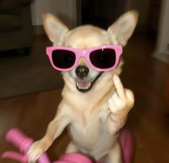 meme ngầu hài hước