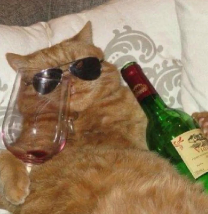 meme ngầu lạnh lùng