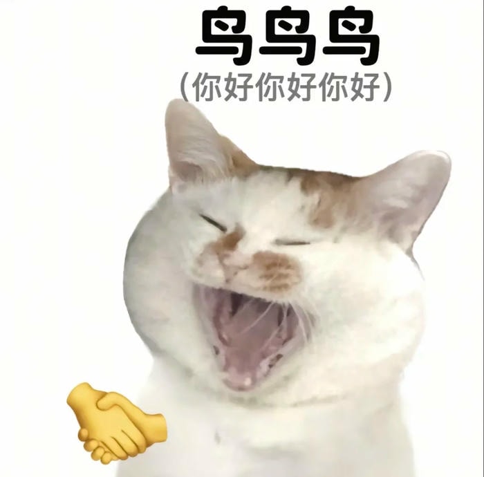 meme xin chào vui nhộn hài hước