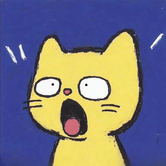 ảnh avatar mèo ngỡ ngàng