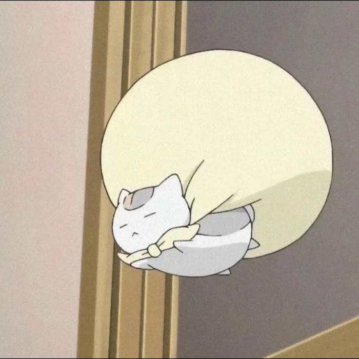 ảnh avatar mèo vô tri hoạt hình