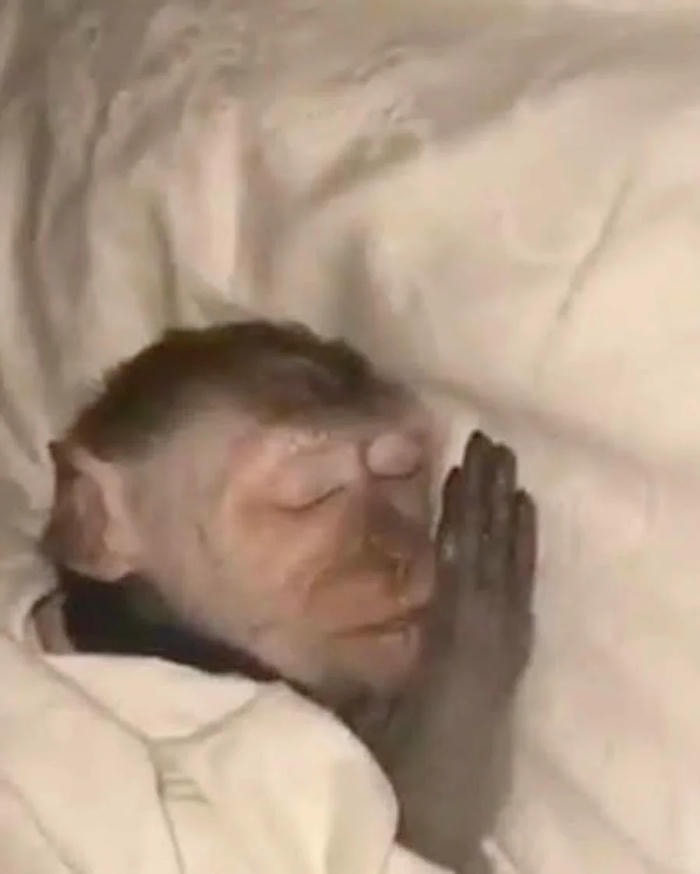 ảnh meme ngủ hài