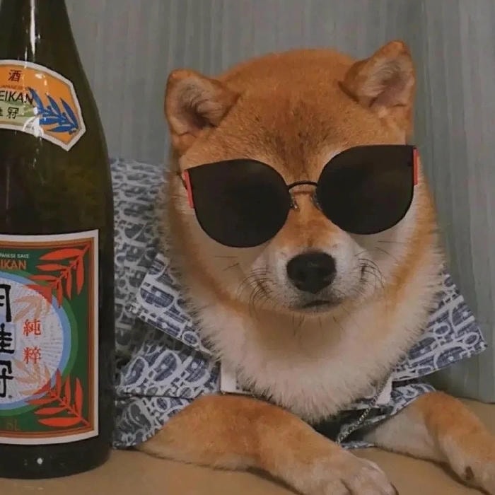 avatar con chó mang nét hồn nhiên