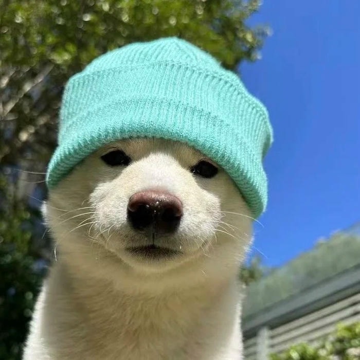 avatar con chó phong cách dễ thương