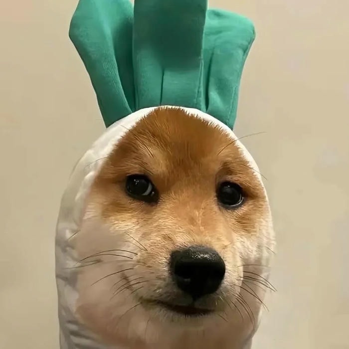 avatar con chó tạo cảm giác thân thiện