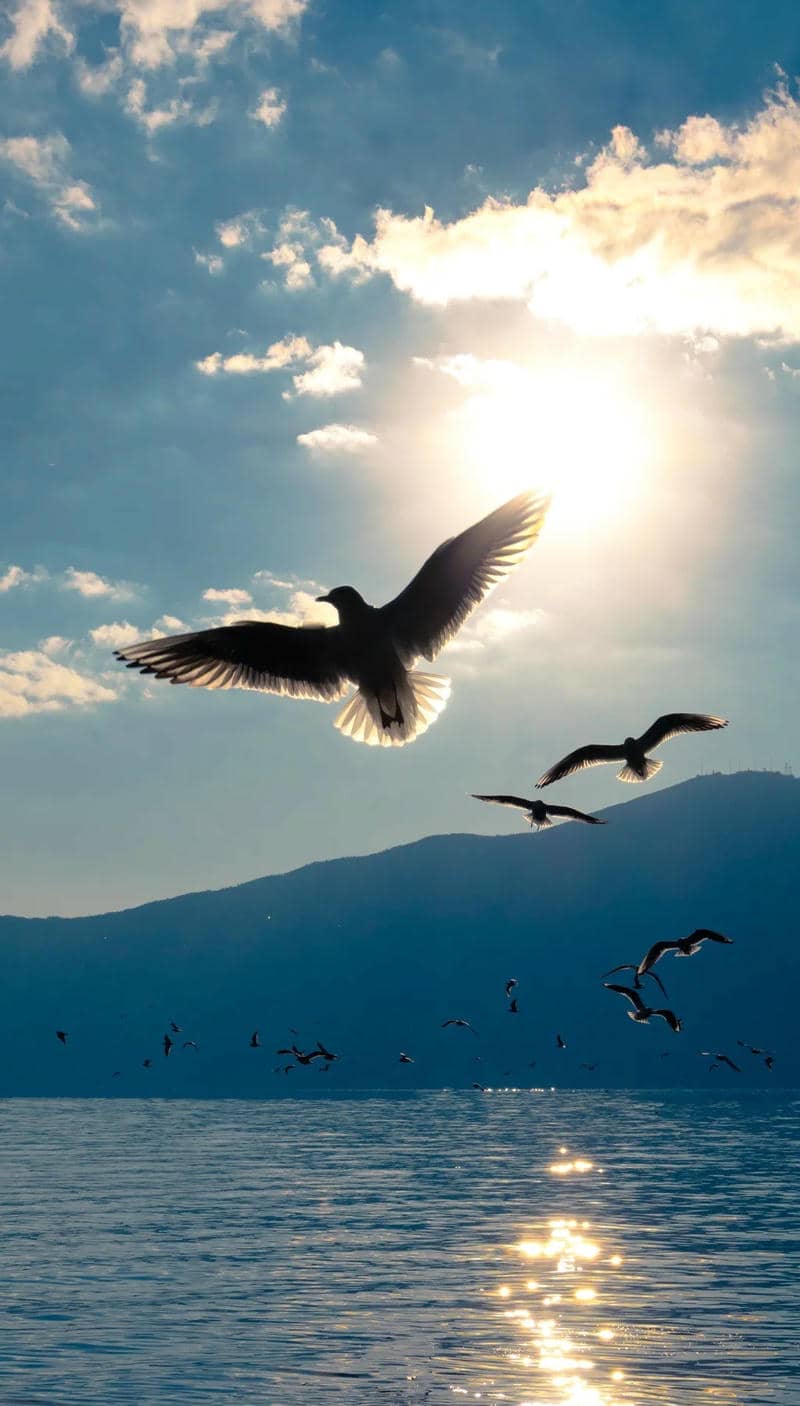 avatar hình nền điện thoại sông núi trữ tình