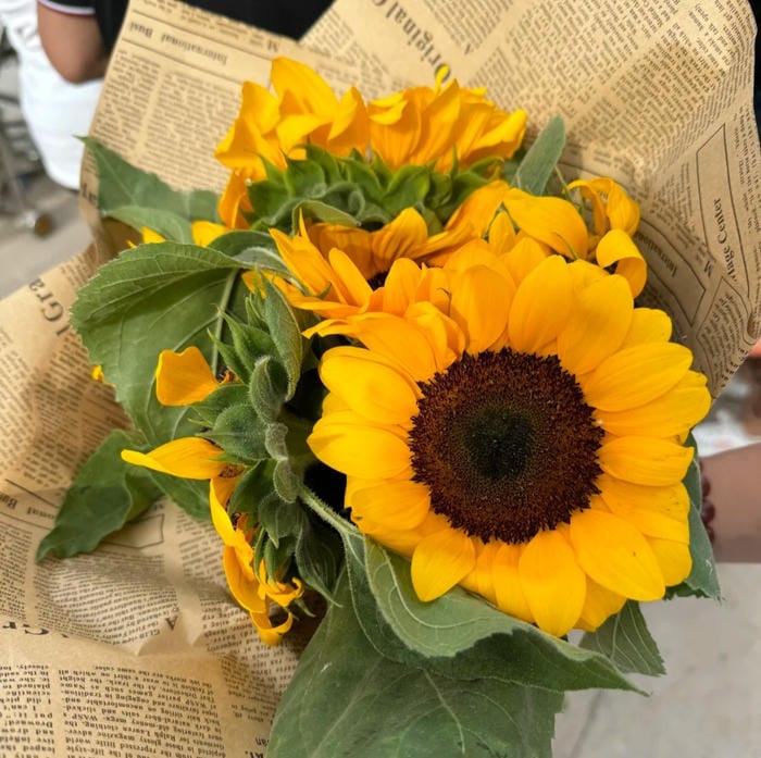 avatar hoa hướng dương đơn sắc tinh tế