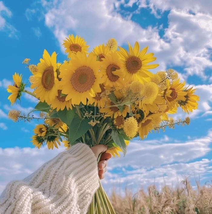 avatar hoa hướng dương phong cách vintage