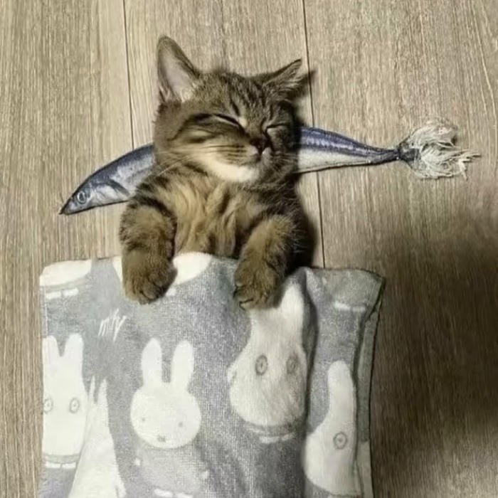 avatar mèo vô tri dễ thương