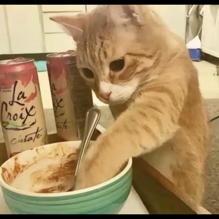 avatar mèo vô tri nấu ăn