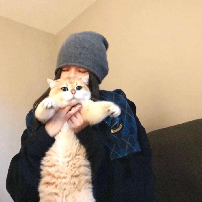 avatar nữ che mặt phong cách aesthetic