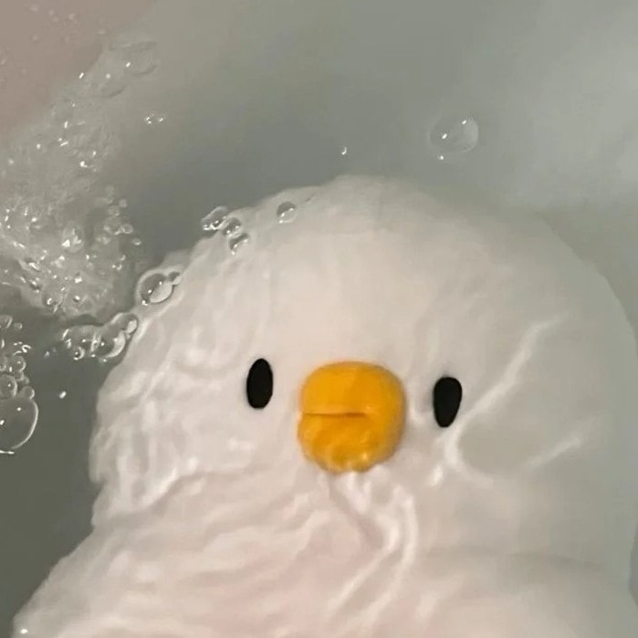 avatar vịt cute màu sắc tươi sáng