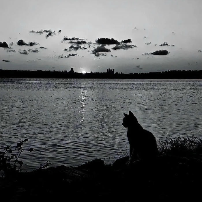 cảm giác xa cách từ avatar đen buồn