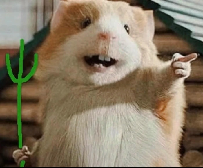 hamster funny face meme