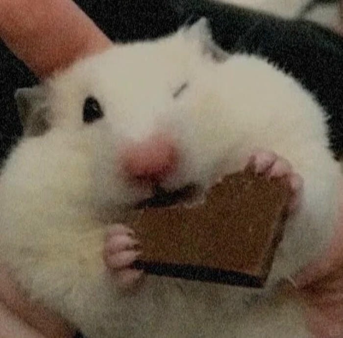 hamster reaction meme