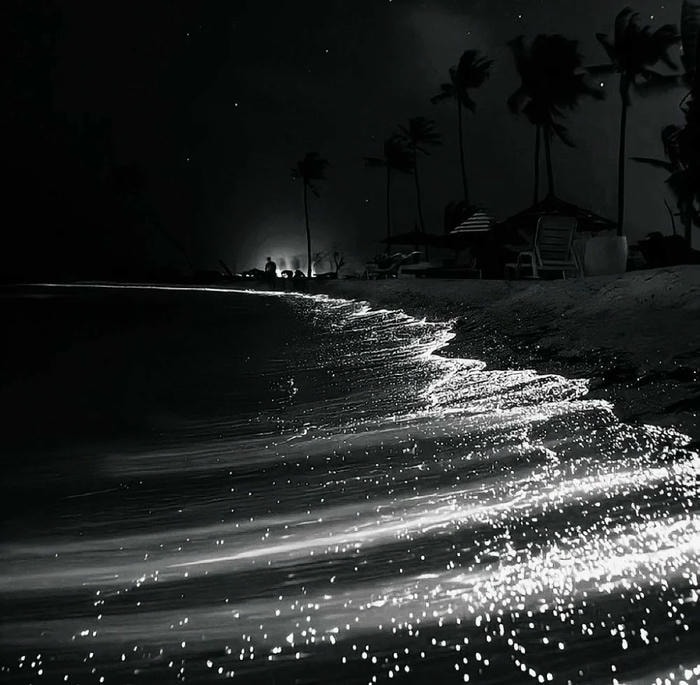 hình ảnh trầm lắng phong cách avatar đen buồn