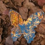 hình nền điện thoại bình minh trên núi