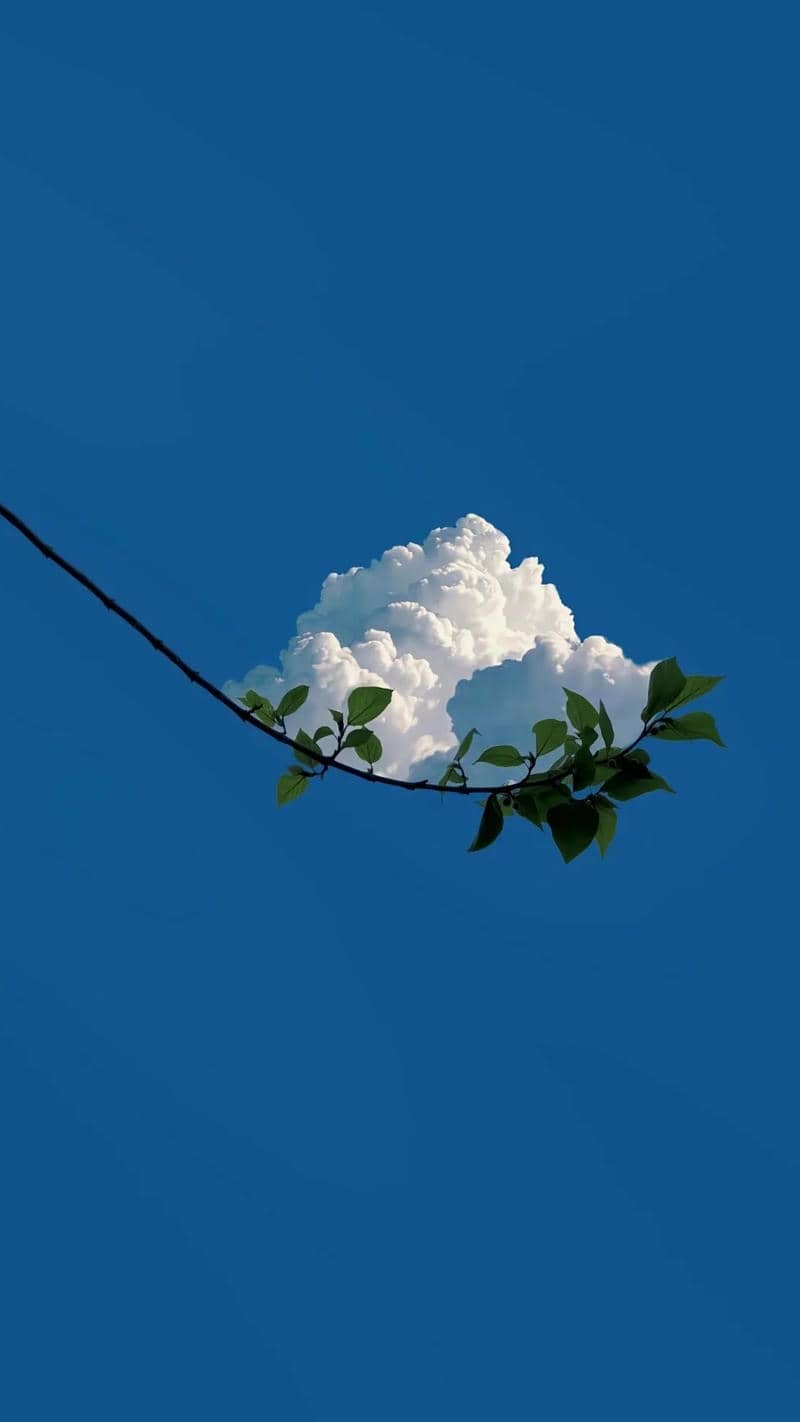 hình nền điện thoại đám mây mùa thu