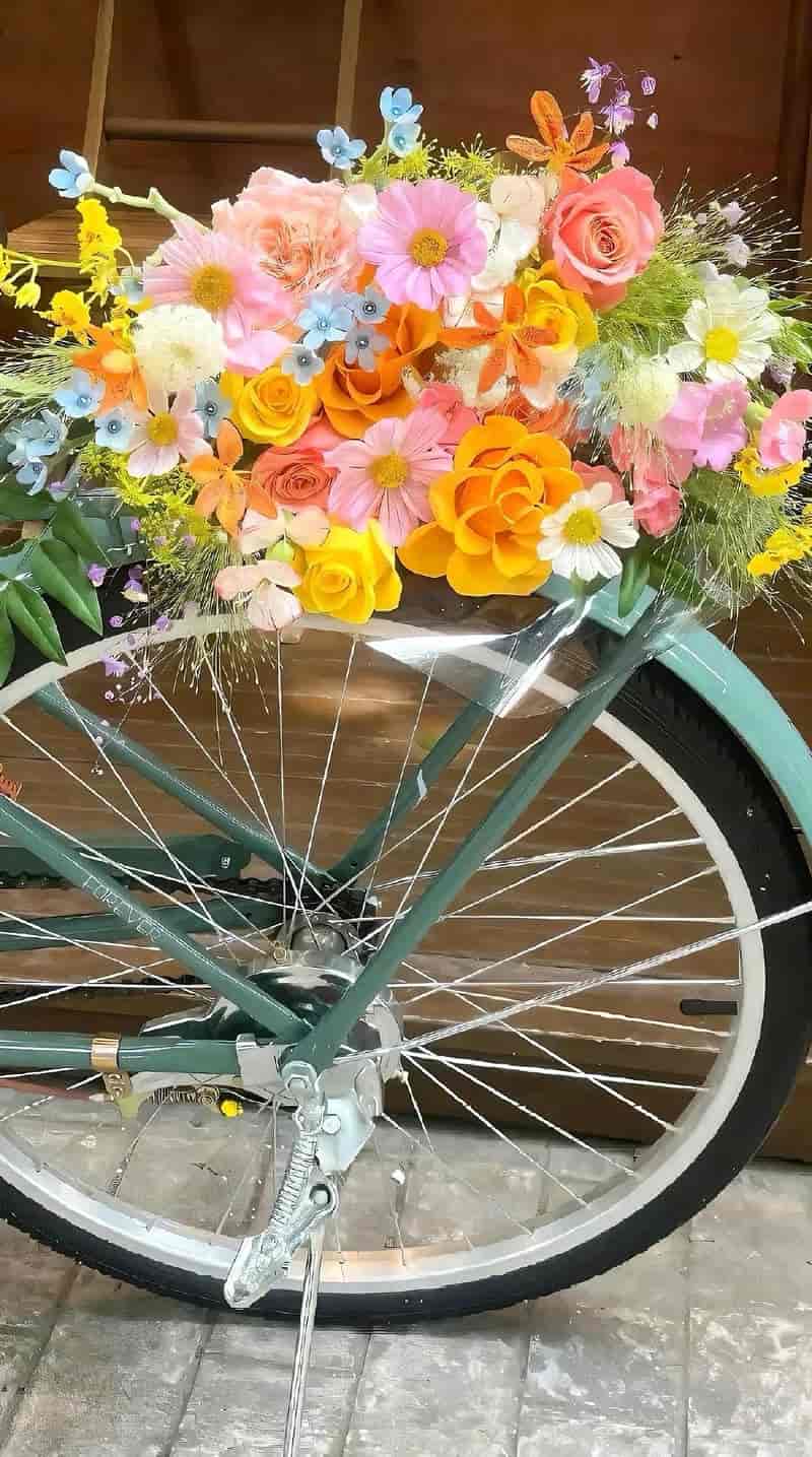 hình nền điện thoại đơn giản mà đẹp mắt