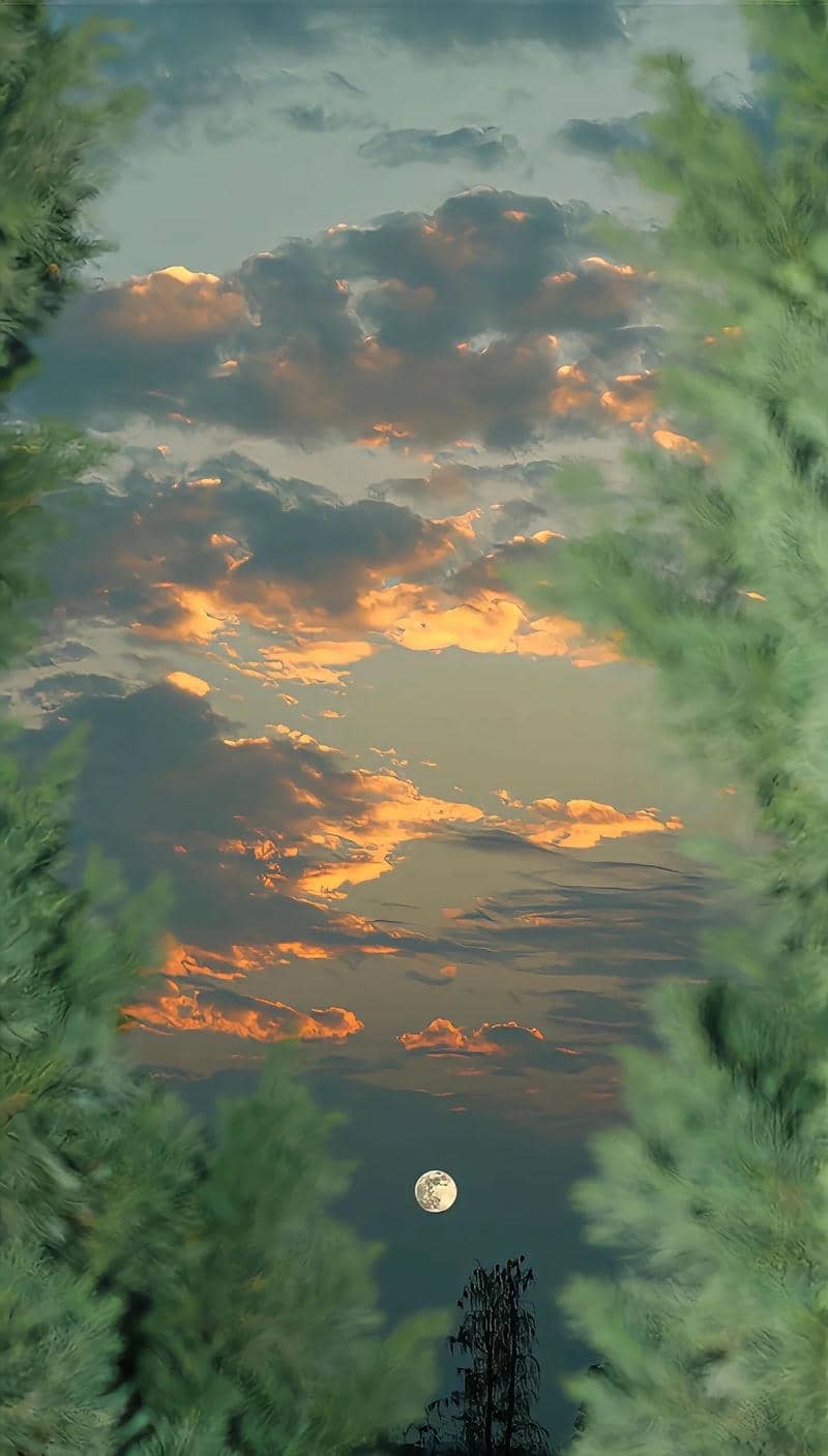 hình nền điện thoại làng quê yên ả