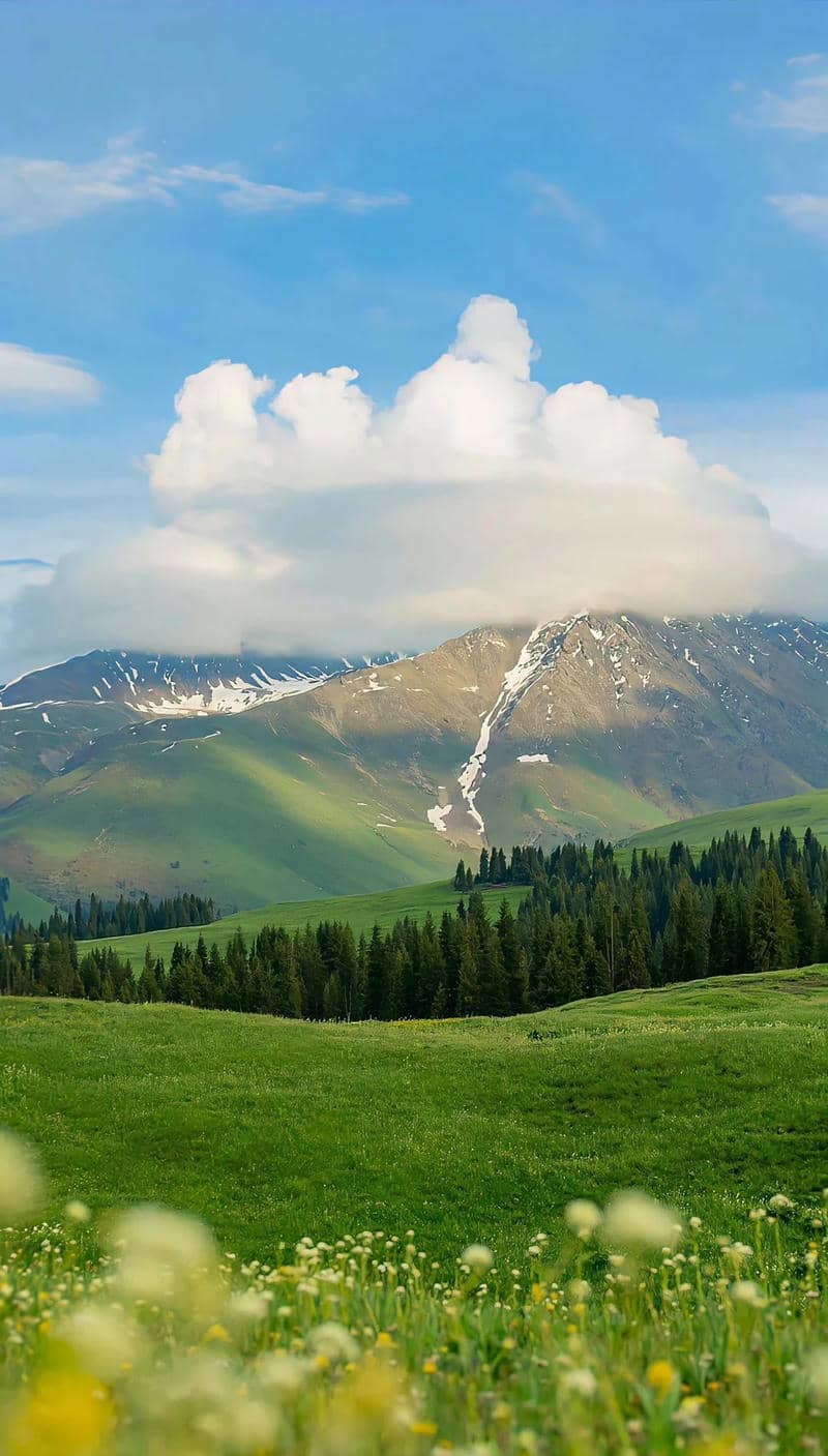 hình nền điện thoại phong cảnh đẹp