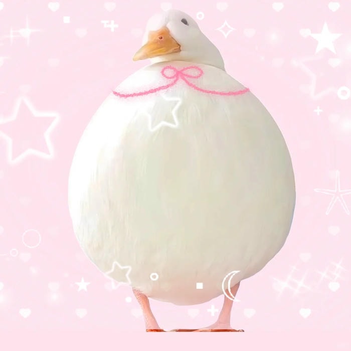 hợp mạng xã hội avatar vịt cute